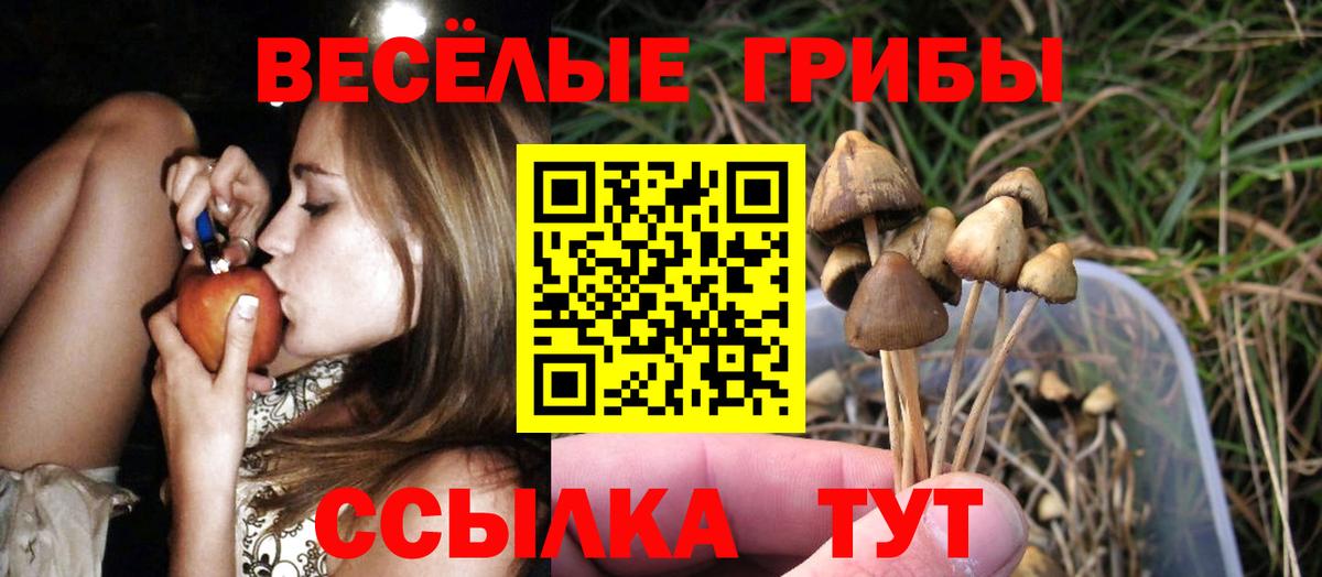 Галлюциногенные грибы мухоморы  Вход с VPN  Галлюциногенные грибы Cubensis  Артём 